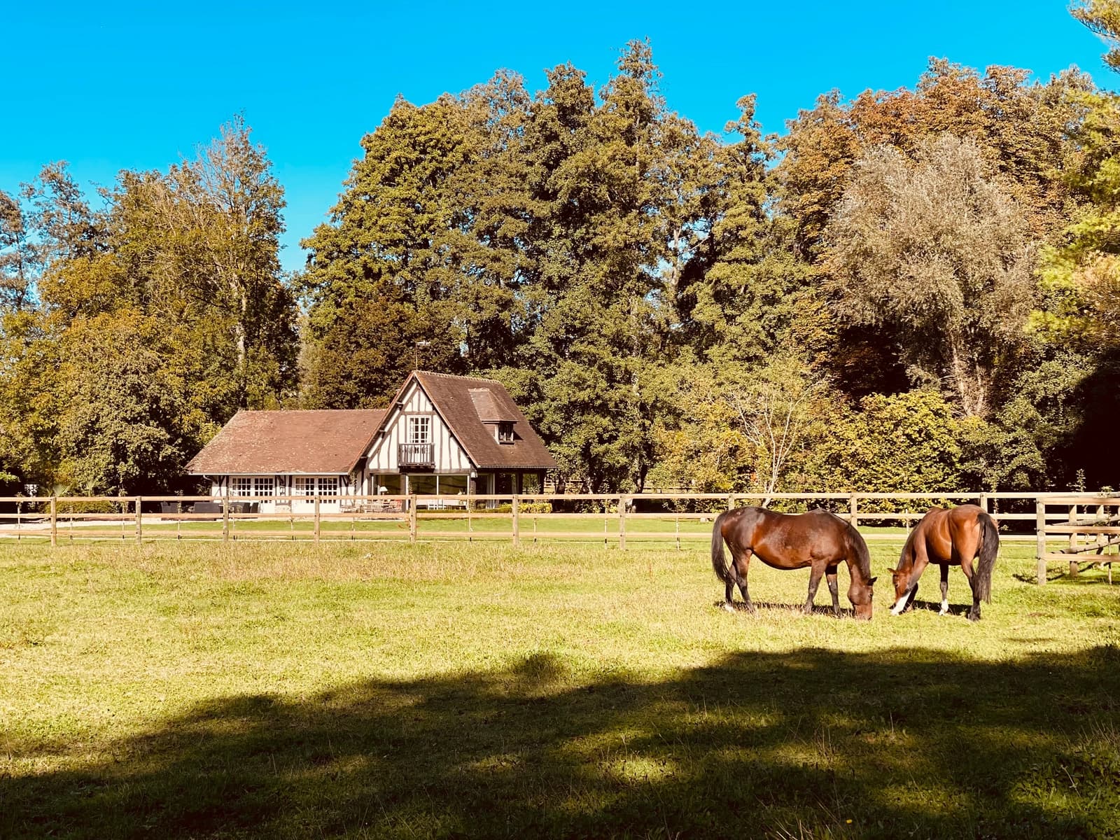 Espace Maison avec écurie privée - 3