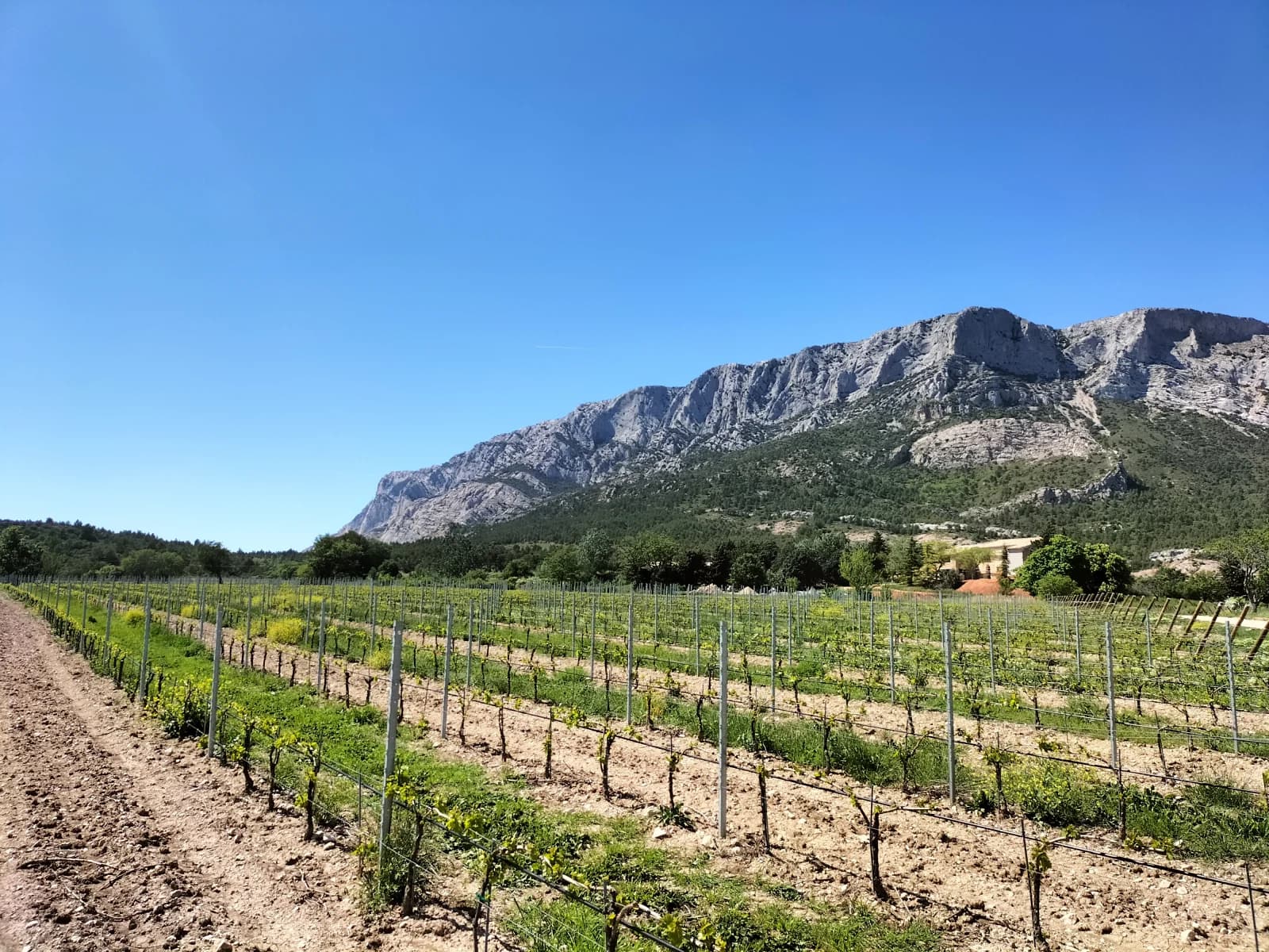 Sala de reuniones en Salón de recepción con una vista panorámica única - 1