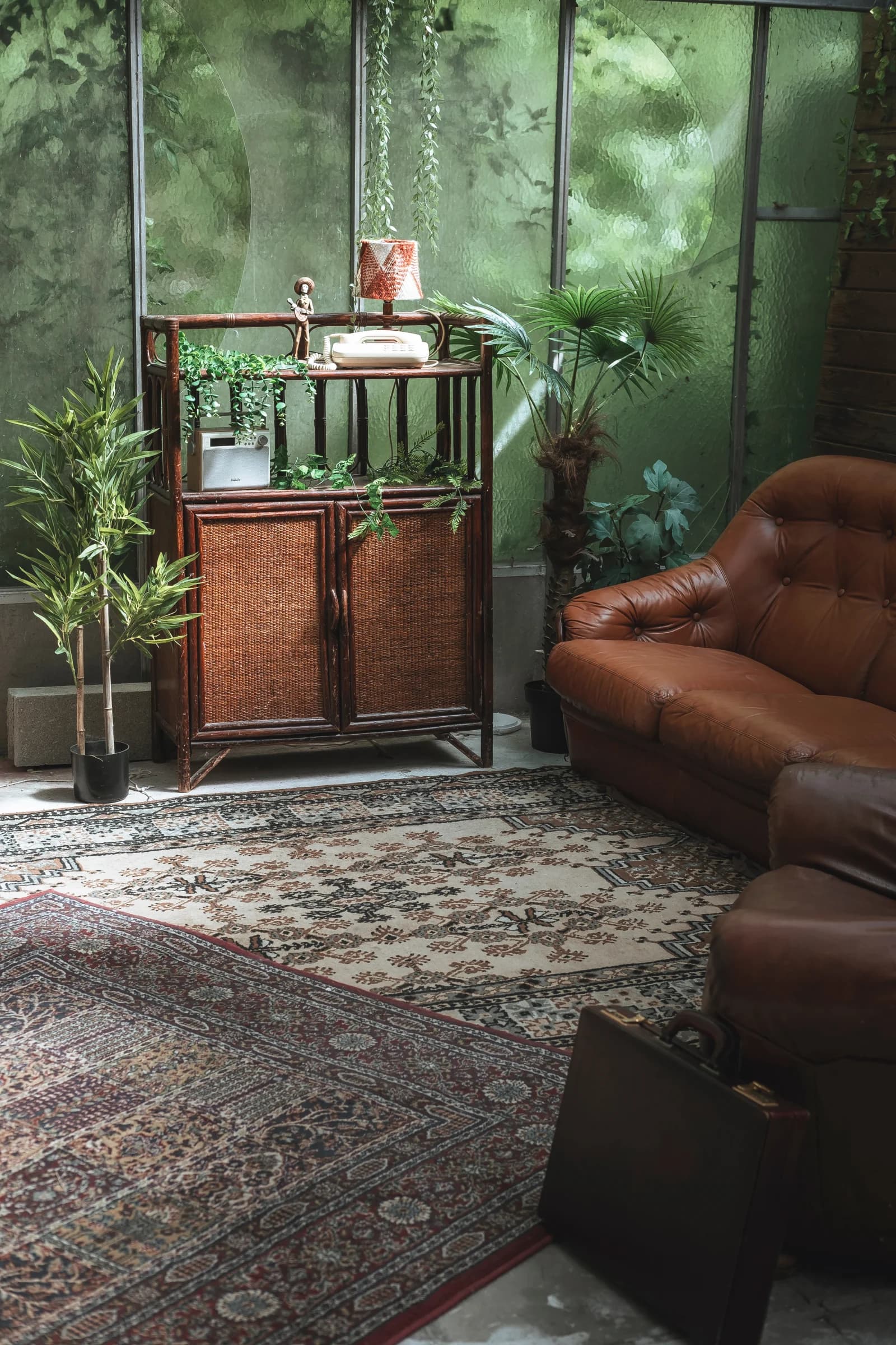 Espace Serre Vintage - 2