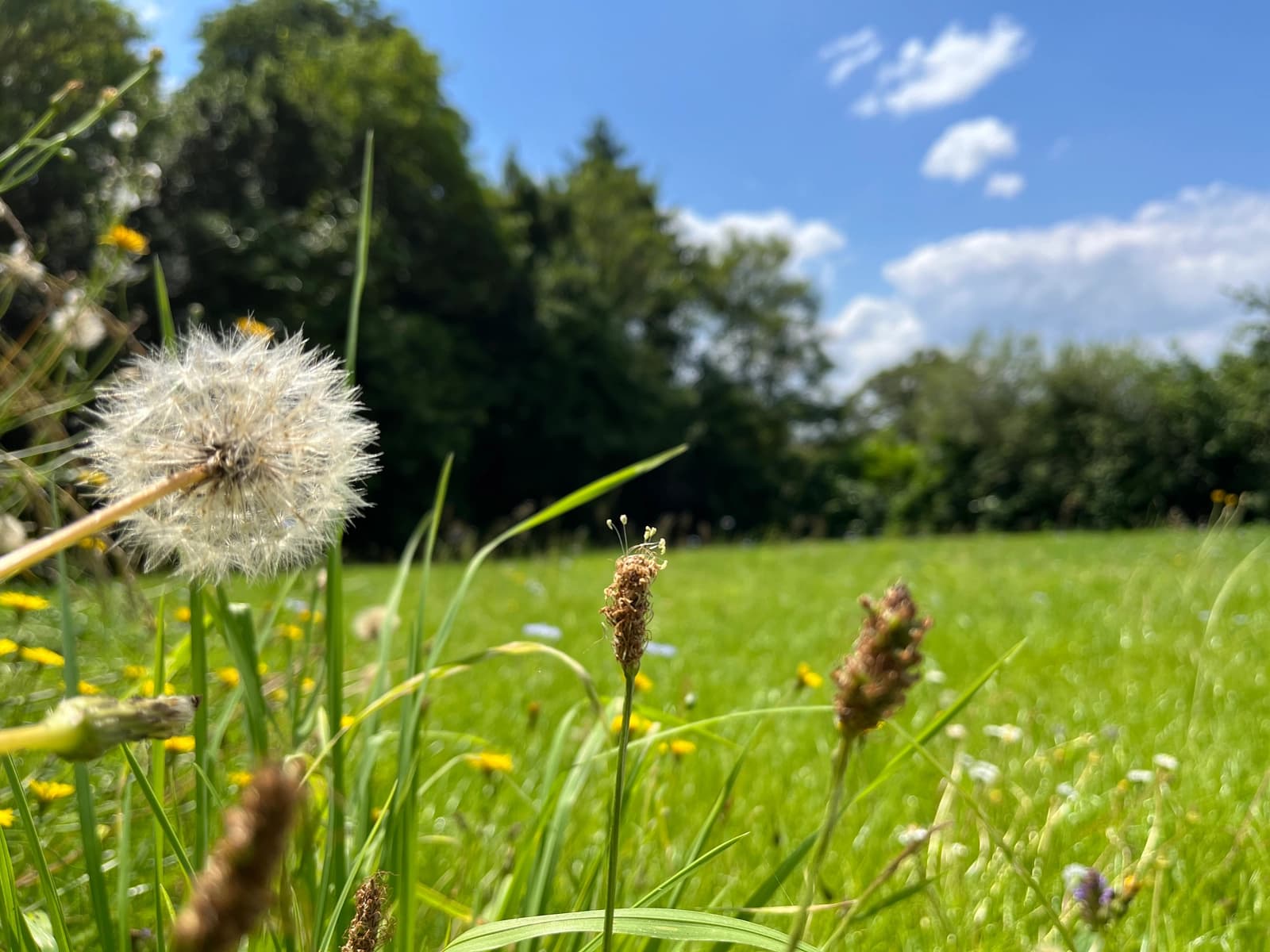 Espace Villa Belle Époque en Bretagne - 4