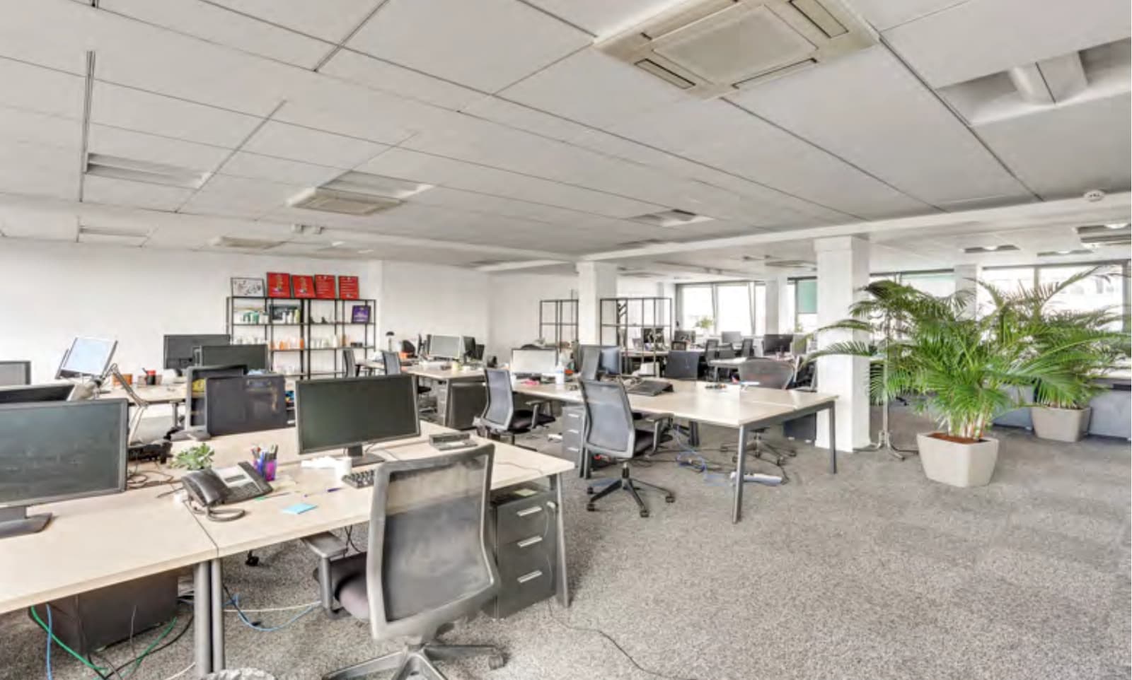 Espace Immeuble de bureaux 5 étages – 2 000 m², terrasses & parking - 0