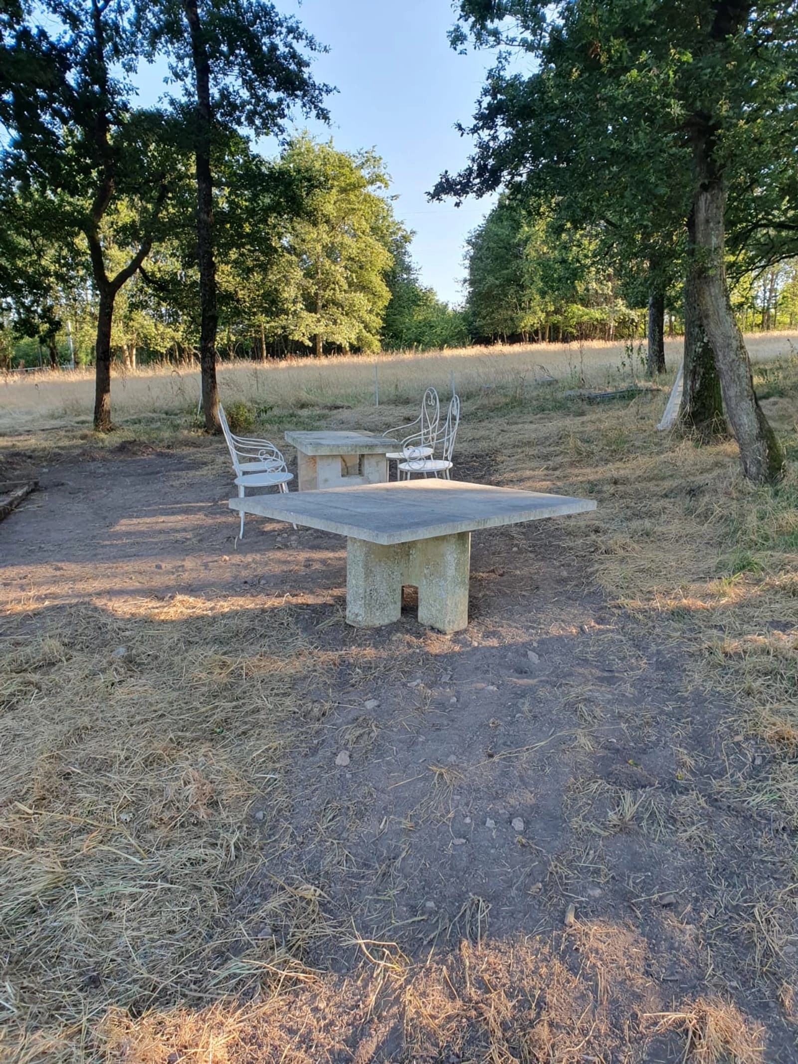 Space Propriété sur 5 hectare avec une habitation avec jacuzzi - 4