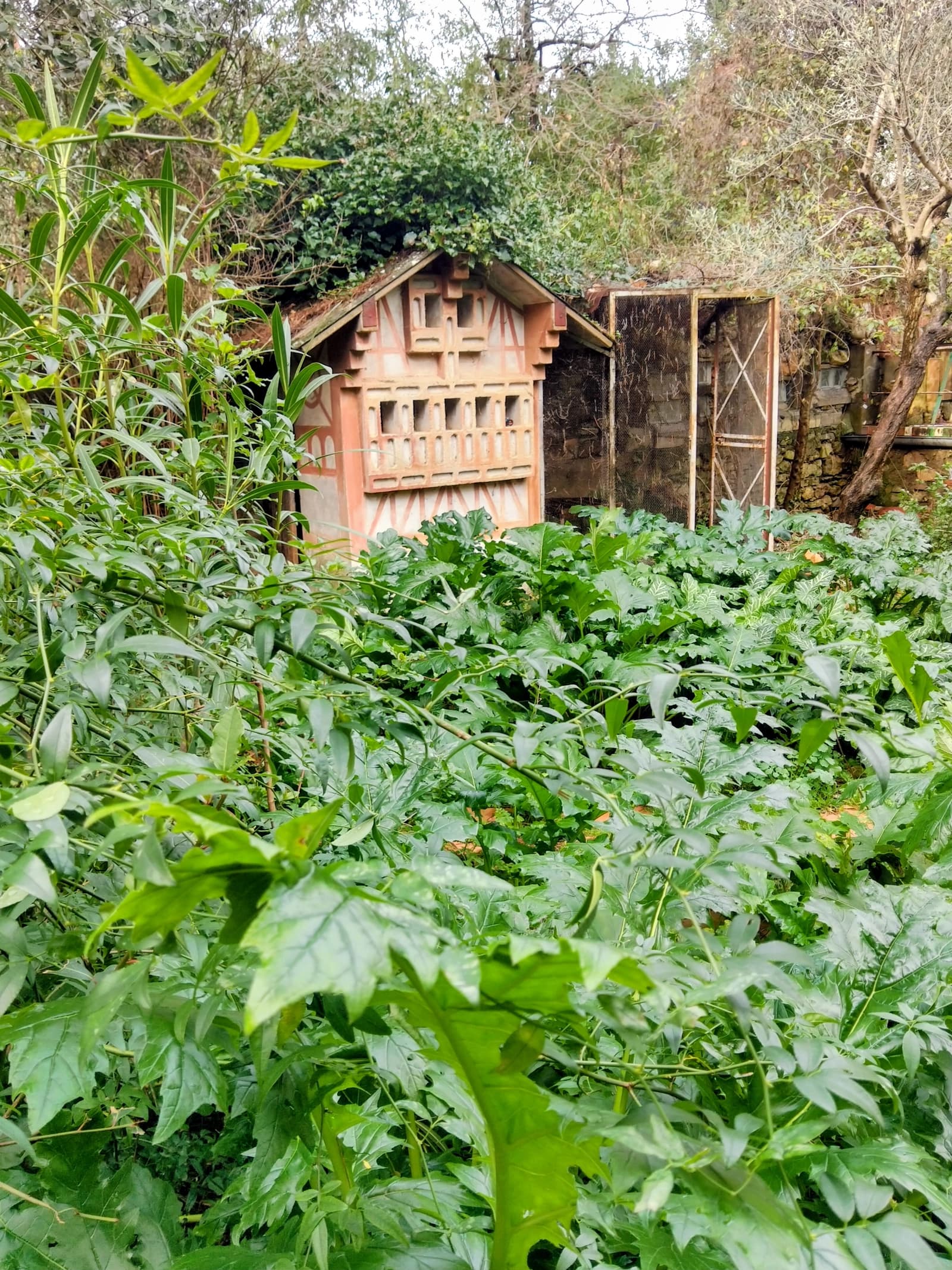 Space Tartugo House-Museum - 3