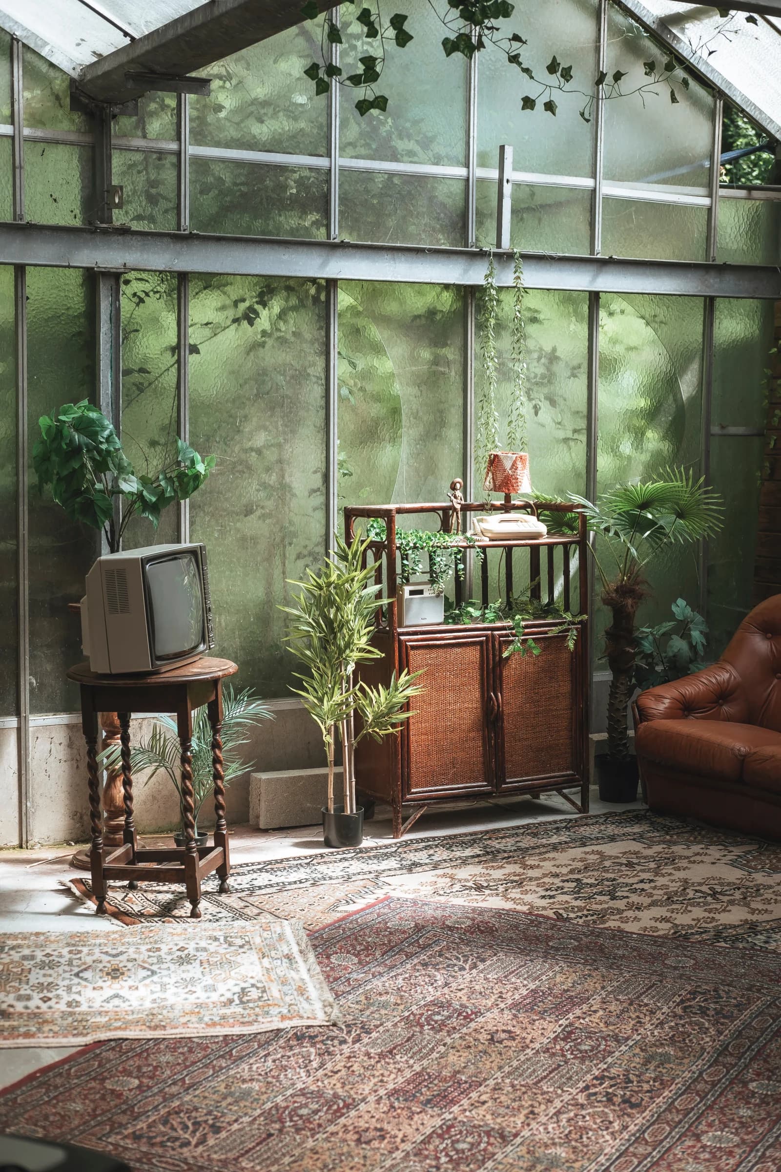 Espace Serre Vintage - 4