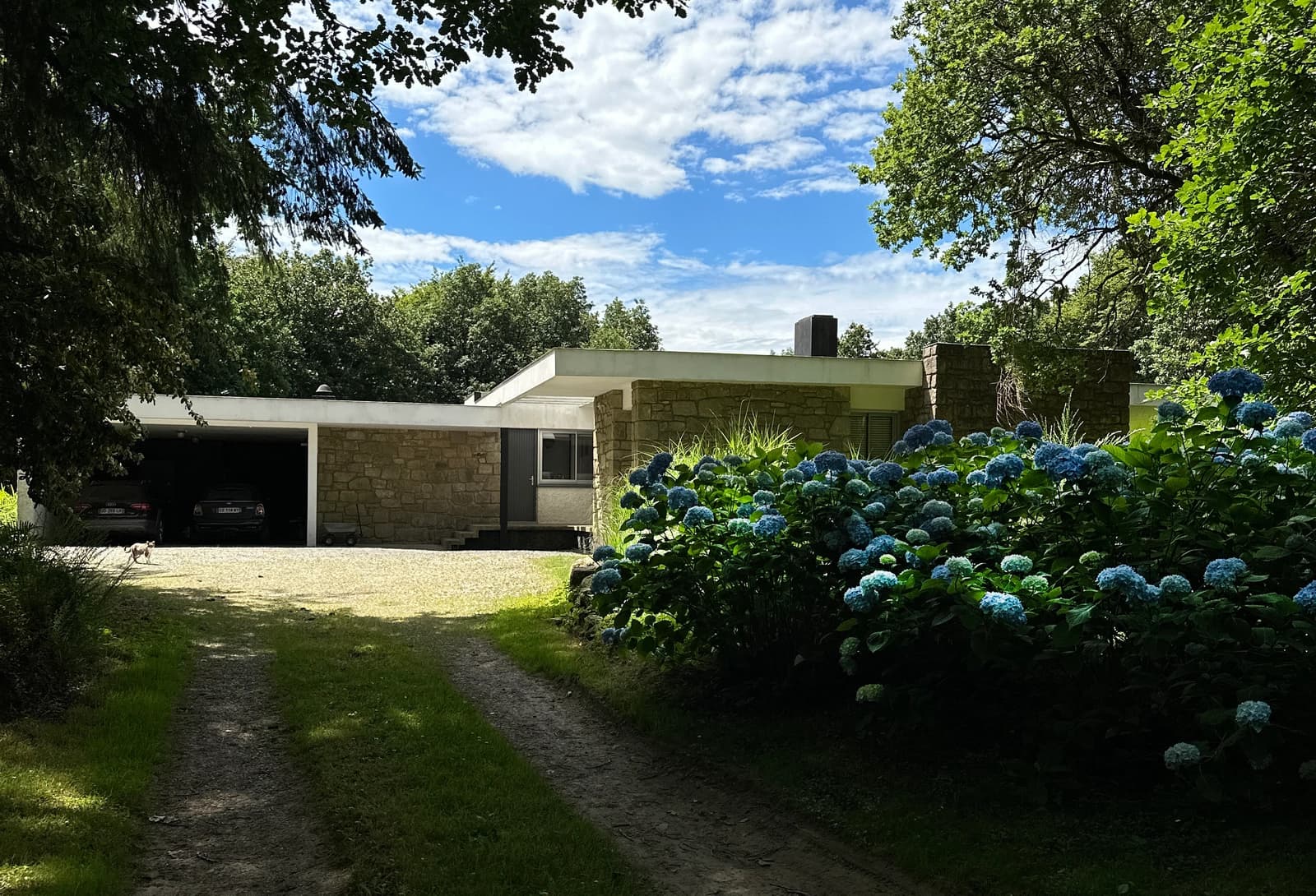 Espace Une maison moderniste en pleine forêt - 0
