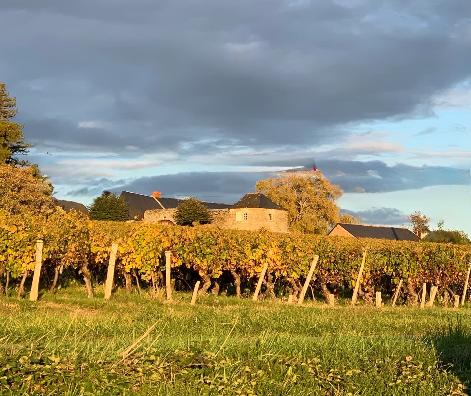 Space Charming Anjou farmhouse - 0