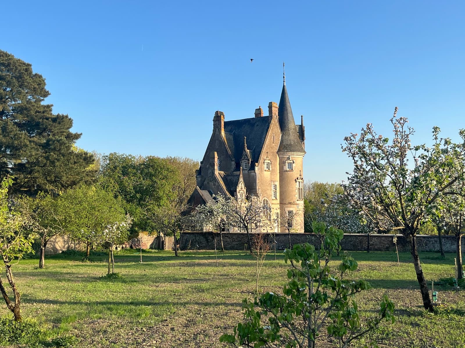 Space Neo-Gothic manor between Rennes and Nantes - 0