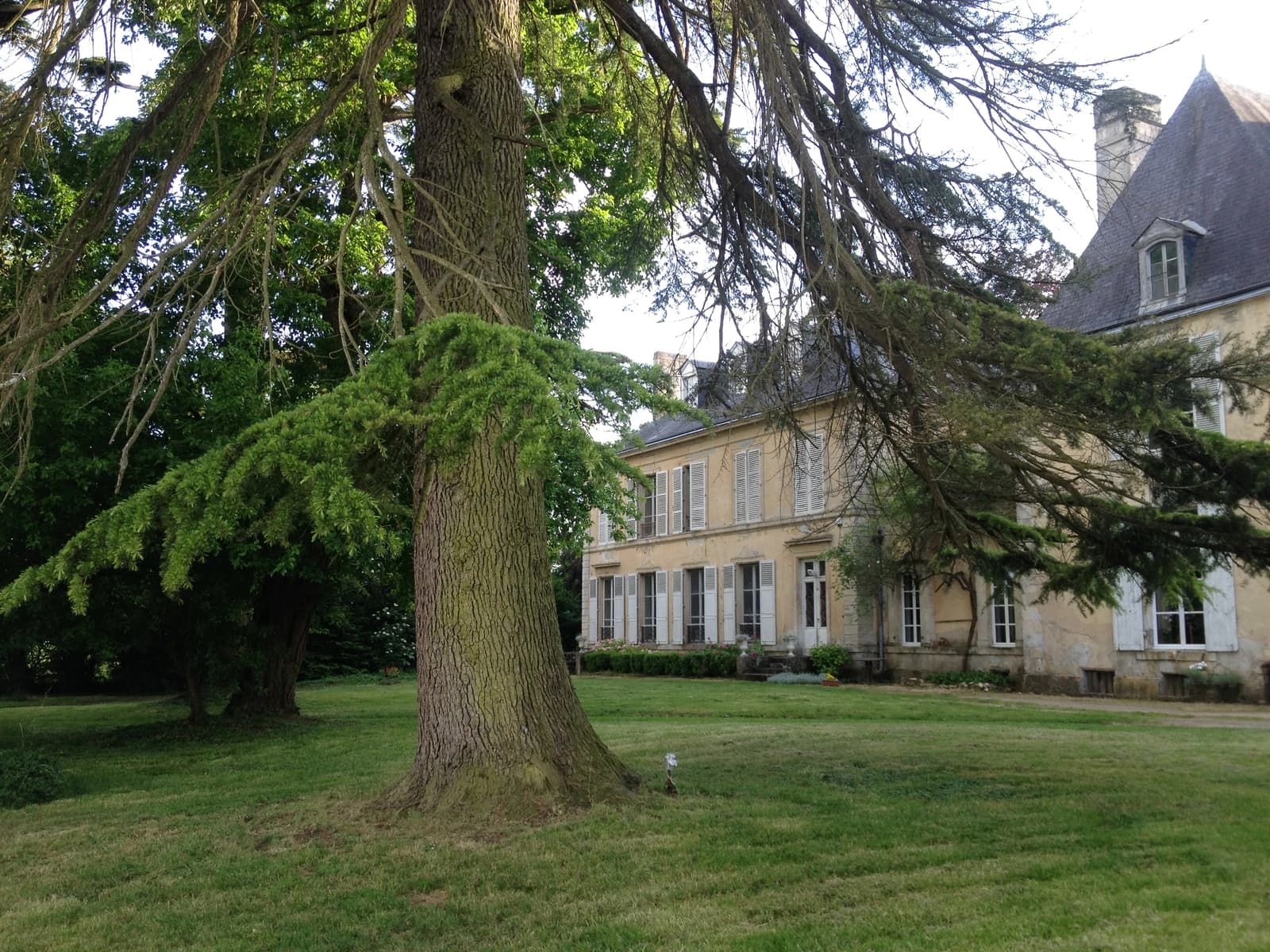 Space Charming château in Le Perche 2 hours from Paris - 3