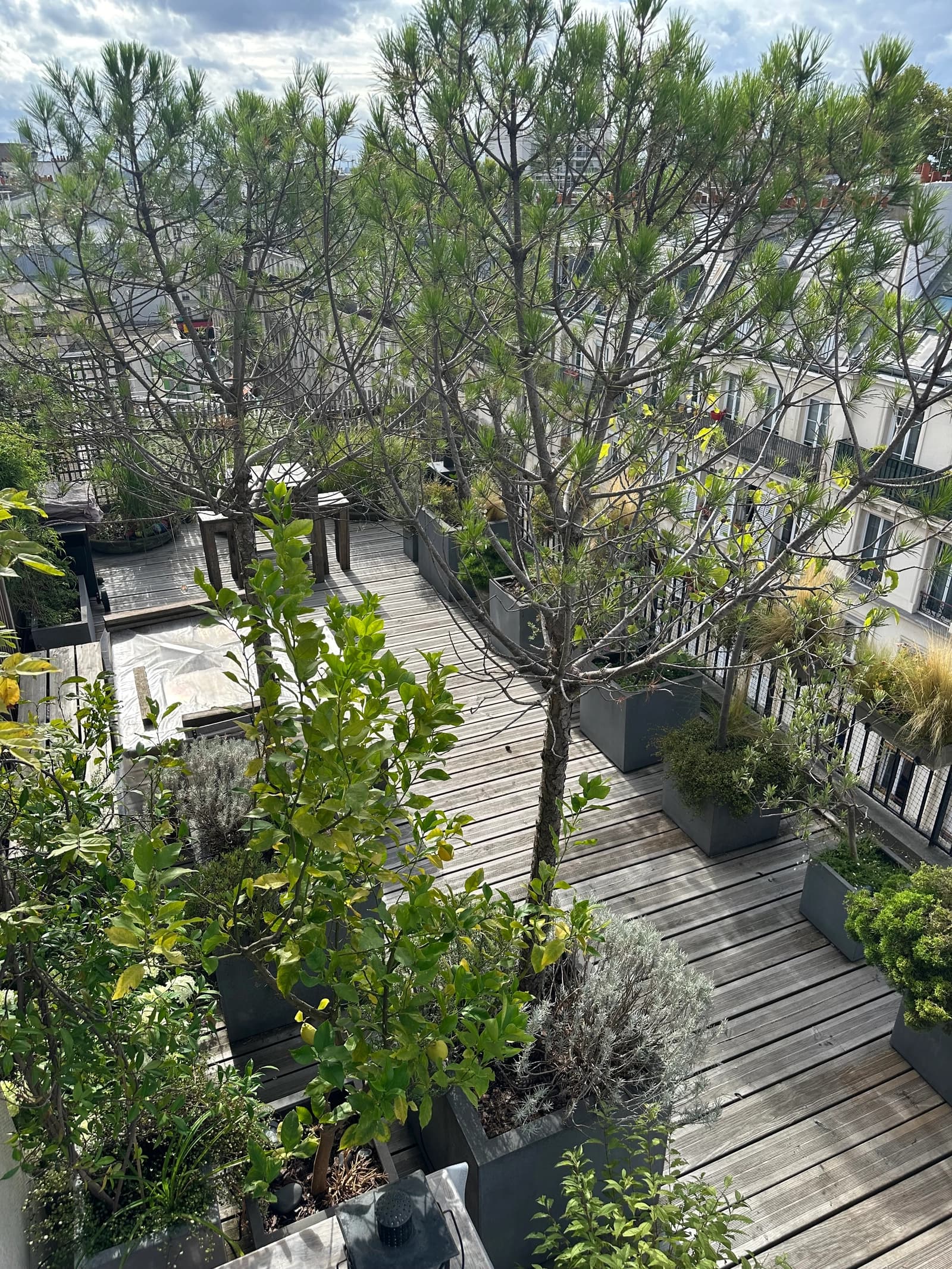 Space Apartment and garden on the rooftops of Paris - 4