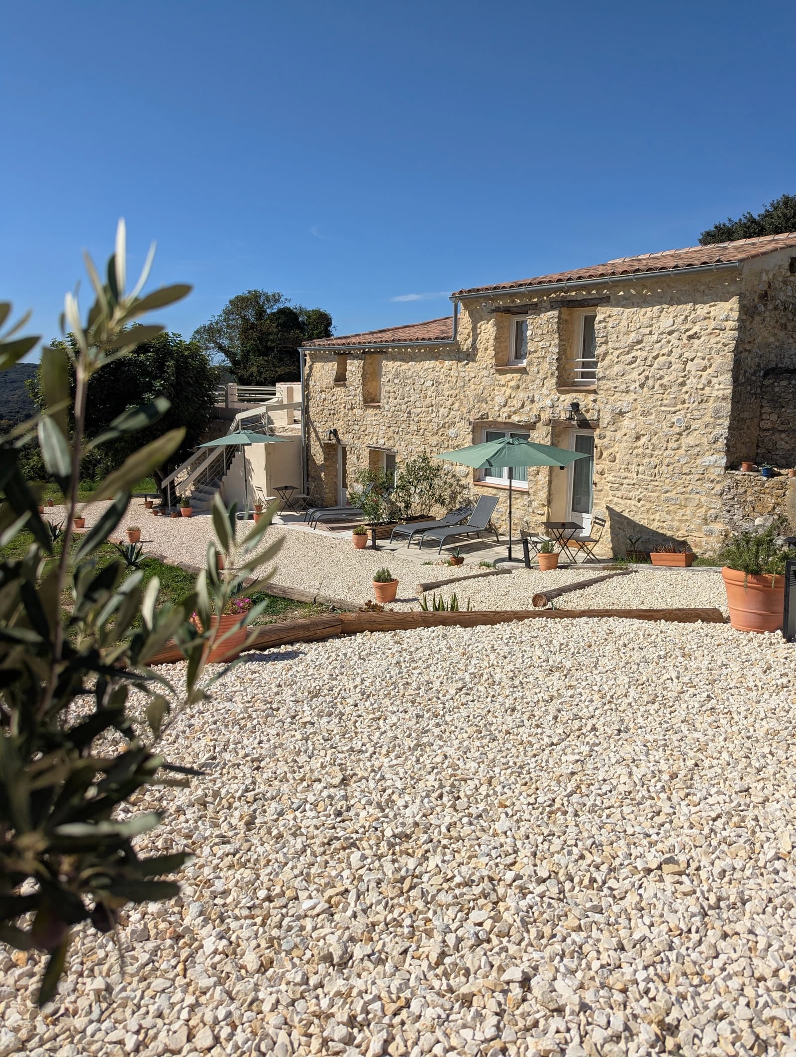 Space Mas provençal and its estate in the heart of nature - 2