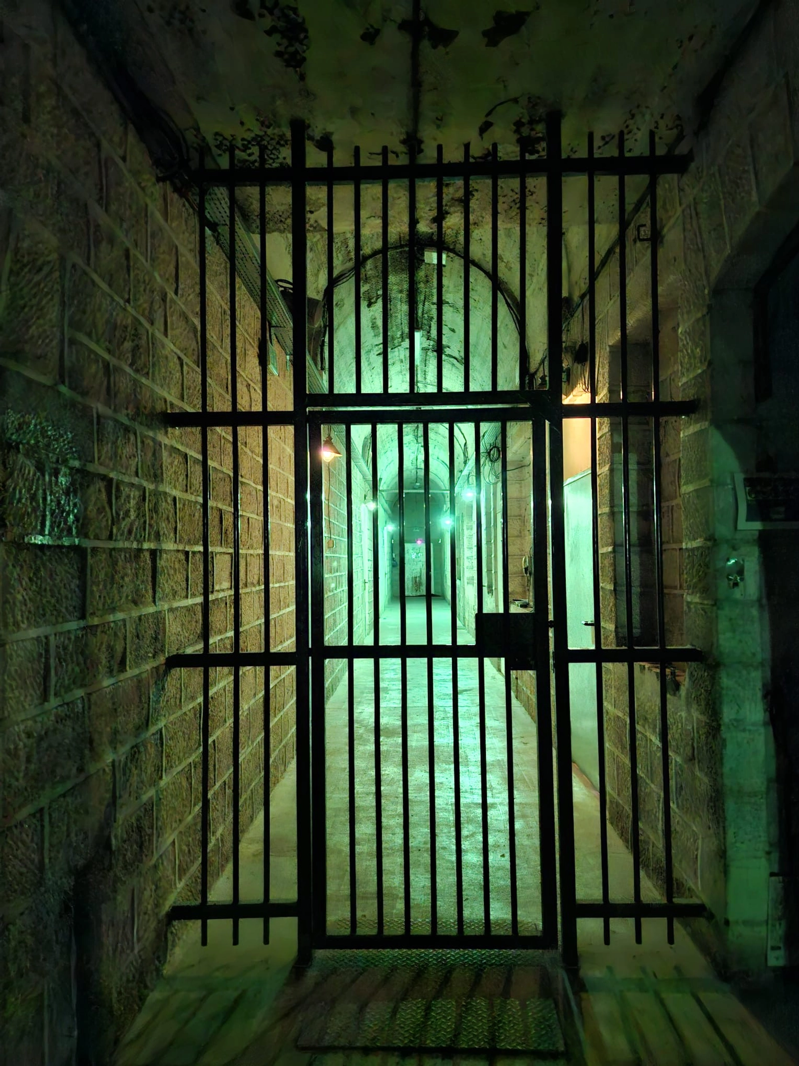 Espace Fort militaire isolé avec forêt, décor immersif - 3