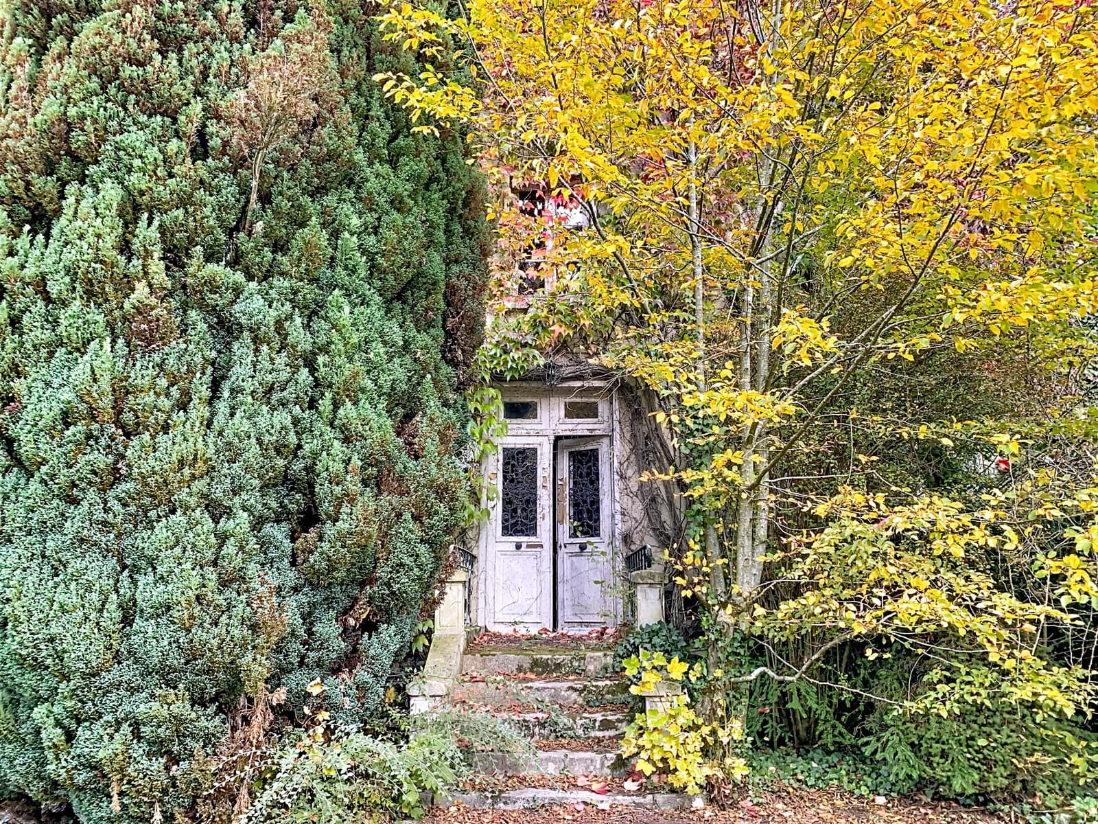 Espace Le Moulin - espace abandonné - 4