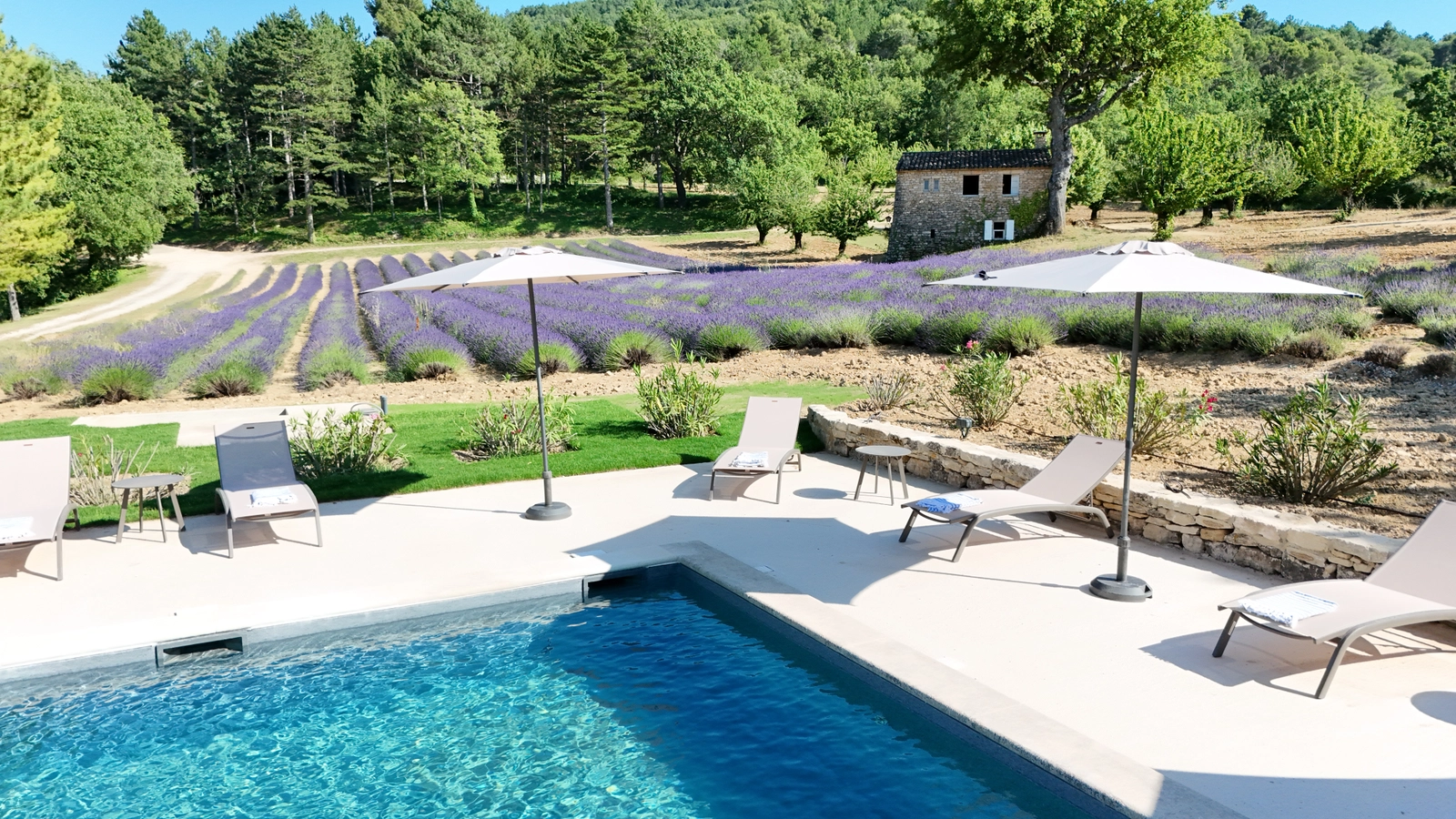 Space Charming Bastide with pool in the heart of the Luberon - 1