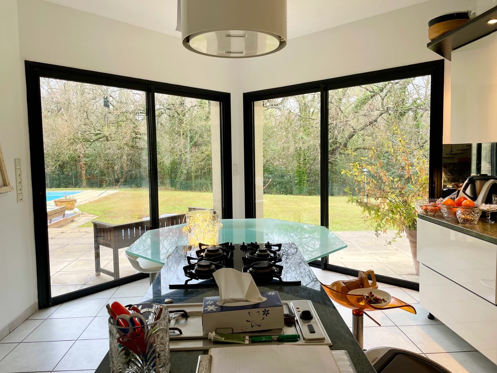 Space Architect-designed villa with swimming pool, large riverside garden - 1