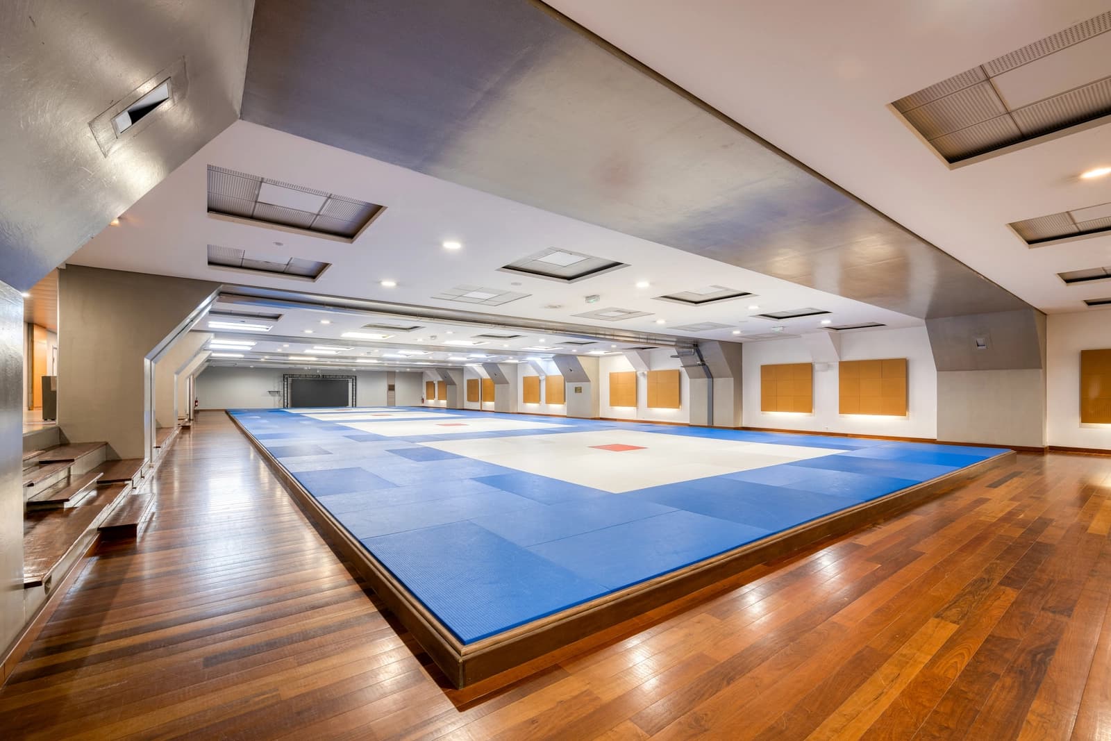 Space Judo Arena - 2